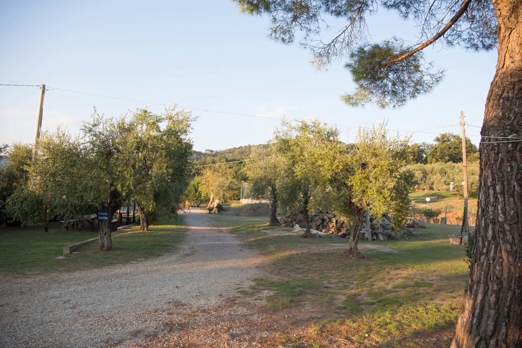 Agriturismo Poggetto Larciano 외부 사진